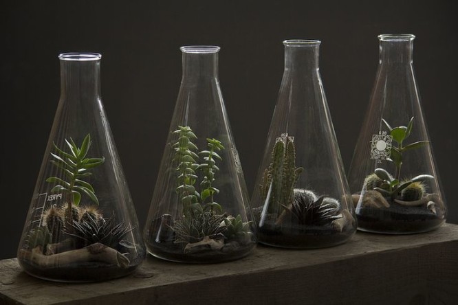 再利用實(shí)驗(yàn)室玻璃