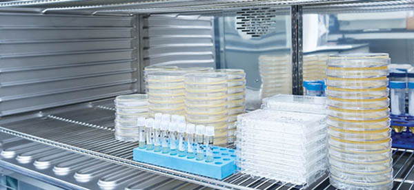 二氧化碳培養箱